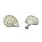 Cast Iron Nautilus Shell Drawer Pull Decorative Cabinet Knob Nautical Set of 6